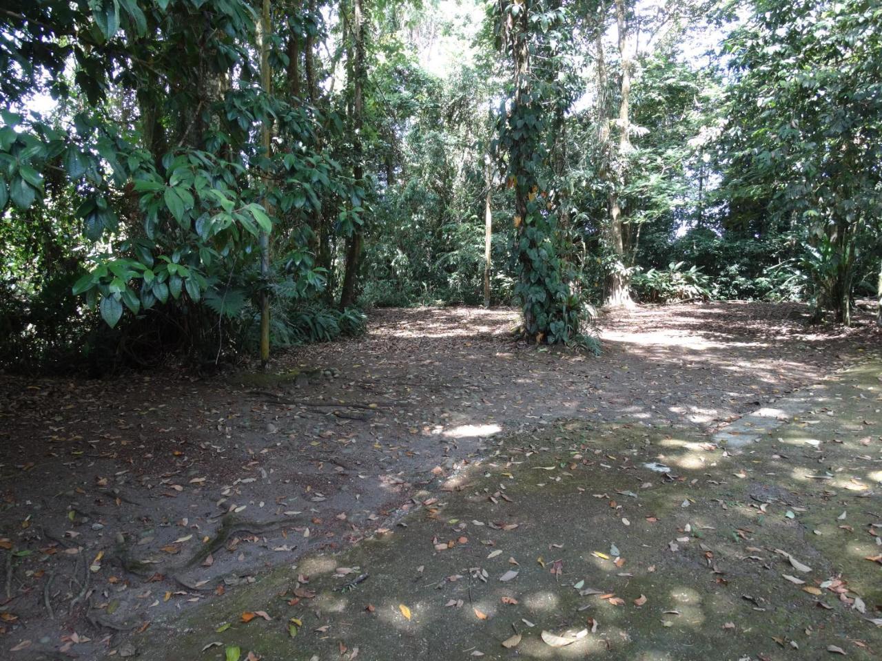 Horquetas River Lodge Sarapiqui Exterior photo