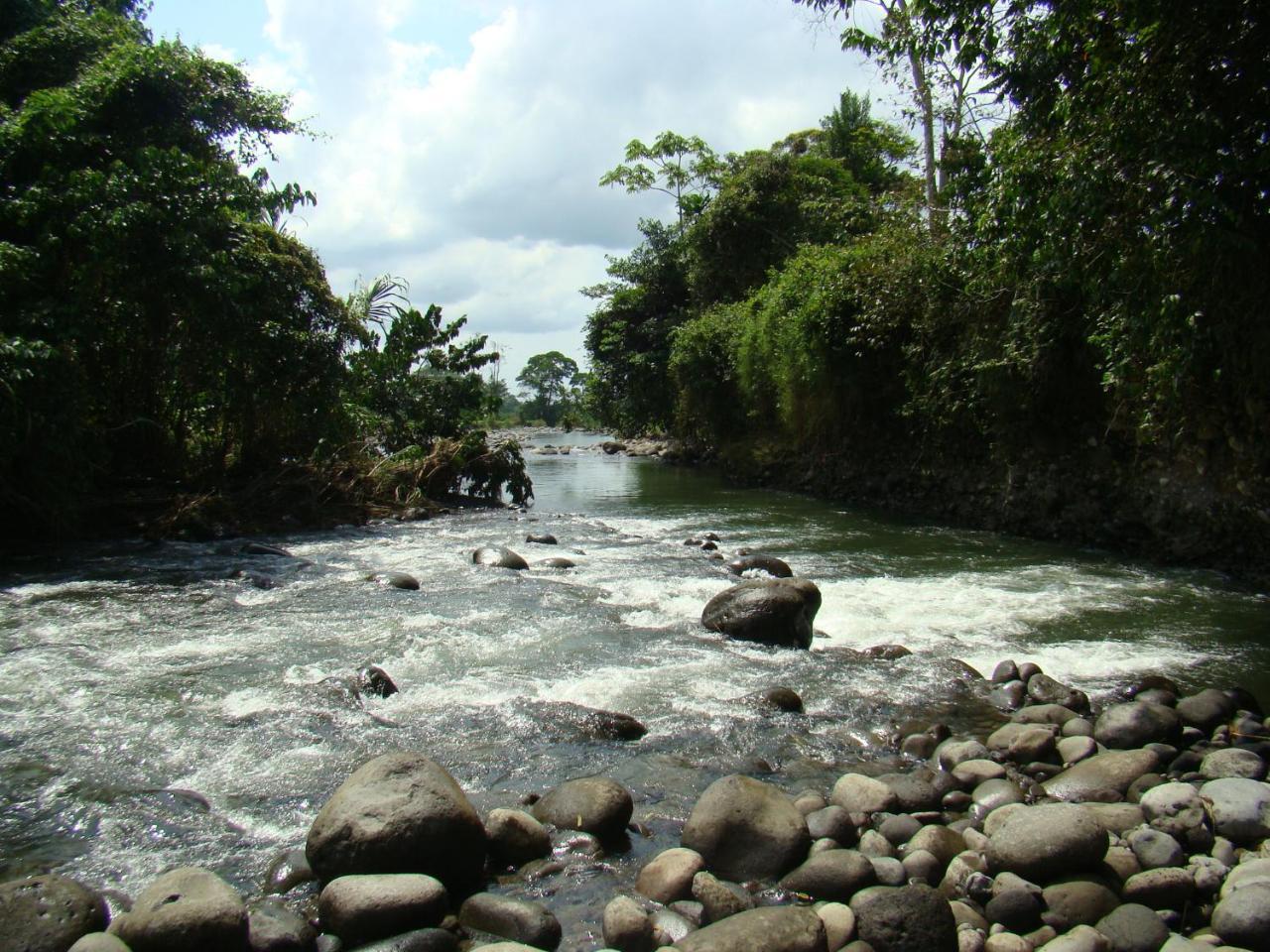 Horquetas River Lodge Sarapiqui Exterior photo