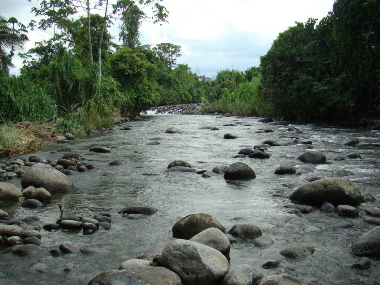 Horquetas River Lodge Sarapiqui Exterior photo