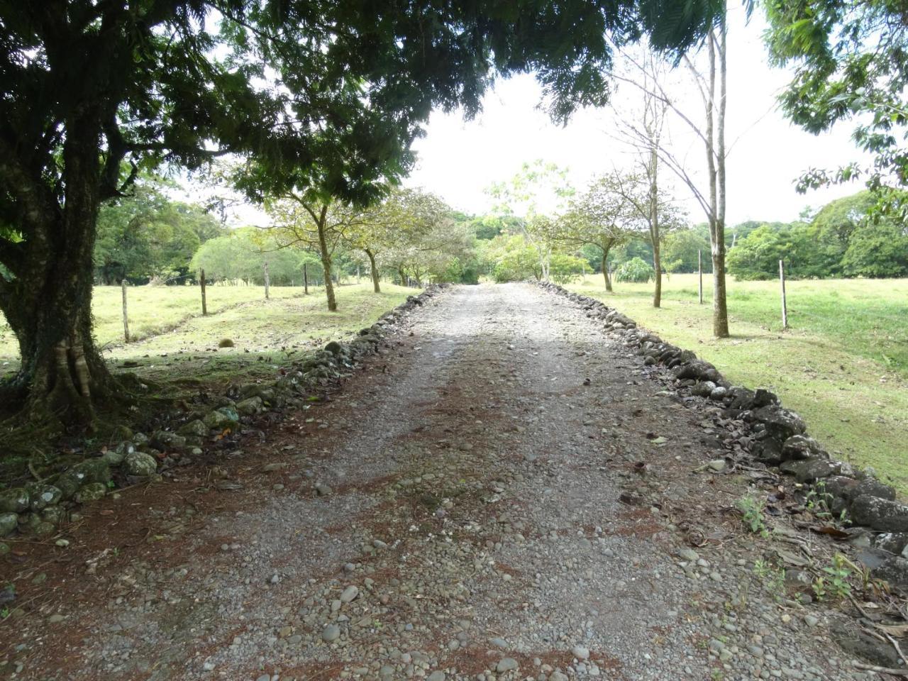 Horquetas River Lodge Sarapiqui Exterior photo