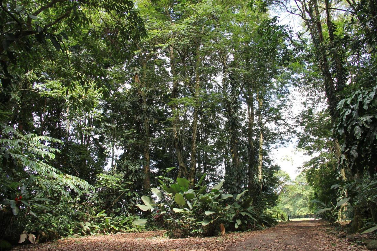 Horquetas River Lodge Sarapiqui Exterior photo